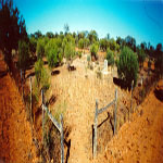 Paynes Find Cemetery