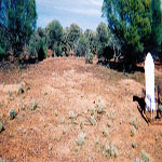 Sandstone Black Range