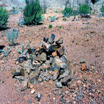 Croydon Goldfield Cemetery (grave 1) - Photo Joan Pritchard, Karratha (Aug 2002) Croydon Goldfield Cemetery