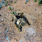 Croydon Goldfield Cemetery (grave 3) - Photo John Pritchard (August 2002) Croydon Goldfield Cemetery