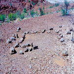 Croydon Goldfield Cemetery (grave 5) - Photo John Pritchard (August 2002) Croydon Goldfield Cemetery