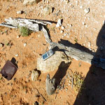 Thomas river grave with GPS – Photo Geoff Blackburn (Aug 2013) Thomas river