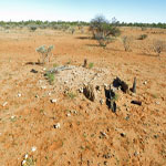 Thomas River Grave 2 – Photo Geoff Blackburn (Aug 2013) Thomas River