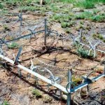 GARDINER Arthur Bradley 