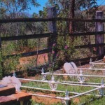 Argyle Downs Homestead Museum - headstones from Dunham River Station- Photo per Kevin Coate (Unknown date) Argyle Downs Homestead Museum
