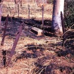 Dunham River Station