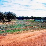 Wattoning Burial Ground - Photo Kevin Coate (1996) Wattoning Burial Ground