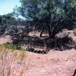 Wurarga Dam burial site - Photo Margaret Gilbert (2000) Wurarga Dam