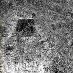 Ashmore Reef burial site - Photo Kevin Kenneally (1977) Ashmore Reef