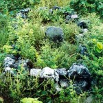 Browse Island - Unnamed Indonesian fisherman's grave - Photo Tim Willing (Feb 2000) Browse Island