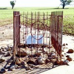 SANDILANDS Alexander