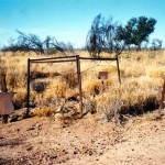 Flora Valley Station
