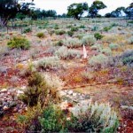 BYRTH, Michael Edward