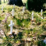 Parkerville Childrens Home marking one hundred years - Photo Eileen Christton (2003) Parkerville Childrens Home