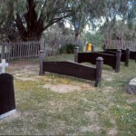 Picton St Mark's Churchyard - Photo Kevin Coate (Unknown date) Picton St Marks Churchyard