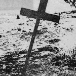 Arundel Bore Beefwood Park Station