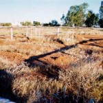 Louisa Downs Station Halls Creek
