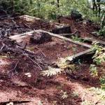 Christmas Island UNNAMED SAILOR - Photo Kevin Coate (Unknown date) Christmas Island