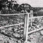 Coolgardie, 3 miles north UNNAMED (grave of NESTOR Austin) - Western Mail 16.6.1938 Coolgardie