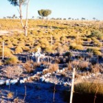 Corunna Downs Station UNNAMED GRAVE of ANDERSON, George 35km from Marble Bar - Kevin Coate (Sept 1996) Corunna Downs Station