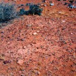 Cue unregistered cemetery UNNAMED GRAVE - Photo Ray Pearson (1983) Cue unregistered cemetery