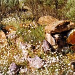 Currans Find UNNAMED GRAVE - Photo Maureen & Frank Johnson (Sept 1996) Currans Find
