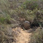 Cygnet Bay UNNAMED Japanese GRAVE - Photo Geoff Blackburne (2011) Cygnet Bay