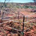 Bangemall UNNAMED GRAVE - Photo Kevin Coate (Aug 1997) Bangemall