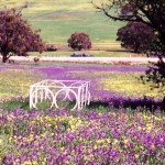 Bindoon UNNAMED GRAVE - Photo Kevin Coate (Unknown date) Bindoon