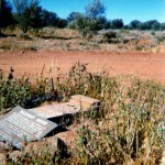 SULLIVAN, Edward Died 2.7.1896 buried Leonora - Photo Jan Trotter (Unknown date) SULLIVAN Edward