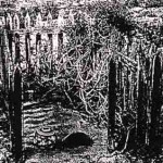 SUNTER, Evelyn Ellen Died 3.5.1897 buried Freshwater Camp, Shark Bay - Battye Library Photo Collection 25843P SUNTER Evelyn Ellen