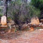 SUTHERLAND, James & O'DONNELL, Thomas M Buried Ullaring Rocks townsite - Photo Brian Speechly (Date unknown) SUTHERLAND James & ODONNELL Thomas