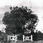 SUTHERLAND, James Died 20.2.1901 buried Ullaring Rocks townsite (O'DONNELL's grave on left) Menzies district Mulline to Davyhurst road - Photo per Kevin Coate (Unknown date) SUTHERLAND James