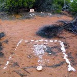 Widgiemooltha Cemetery