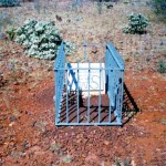 STIDWORTHY, William Died 5.7.1984 (ashes) buried behind Inn at Cobra (Bangemall) - Photo Jessie Lowrie (Oct 1996) STIDWORTHY William