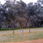 Bannister (BARRON, KNIBBS) - Photo Ray Pearson (Unknown date) Bannister