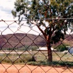 Warmun (Turkey Creek) showground (LANGRIDGE Grave located beneath tree) - Photo Iain McGregor (Dec 1990) Warmun Turkey Creek showground Langridge
