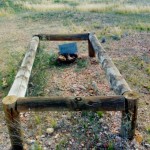 Wilsons Patch 65km north Leonora - Photo Andrea Lewis & Jill Heather Wilsons Patch 65km north Leonora