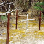 Eyre Bird Observatory near Twilight Cove UNNAMED GRAVE - Photo Honor C Venning (Sept 1994) Eyre Bird Observatory near Twilight Cove