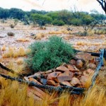 Hawks Nest UNNAMED GRAVE one km south of Aspinall's grave - Photo Alf Thompson, Kalgoorlie (1996) Hawks Nest