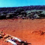 Horshoe Mine area near Peak Hill, Meekatharra district UNNAMED GRAVE - Photo Carolyn Gibson (2004) Horshoe Mine area near Peak Hill Meekatharra district