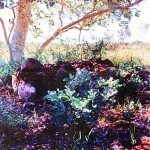 Jimblebar UNNAMED GRAVE - Photo Carolyn Gibson (2004) Jimblebar