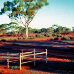 Kanowna Grave Dam UNNAMED GRAVE - Photo Kevin Coate (Sept 1990) Kanowna Grave Dam