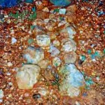 Mosquito Well UNNAMED GRAVE East Pilbara - Photo Maureen & Frank Johnson (Sept 1993) Mosquito Well