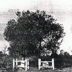 Ullaring Rocks townsite Menzies district on Mulline to Davyhurst road (graves O'DONNELL & SUTHERLAND) - Photo Battye Library photo collection (taken between 1901-1934) Ullaring Rocks townsite Menzies district