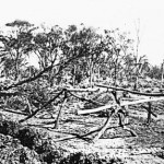 Siberia UNNAMED GRAVE along the track - Photo Kevin Coate (Date unknown) Siberia