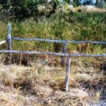 Toolibin Cemetery UNNAMED GRAVE - Photo Kevin Coate (Nov 1995) Toolibin Cemetery