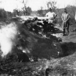 Wiluna UNNAMED GRAVE - Photo Cameleer from Tin Mosques And GhanTowns by Christine Stevens p209 Wiluna
