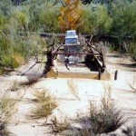 Wubin Cemetery Behrenbeck's headstone at top, Furlong WP & Robb James in unnamed grave - Photo Kevin Coate (July 2001) Wubin Cemetery